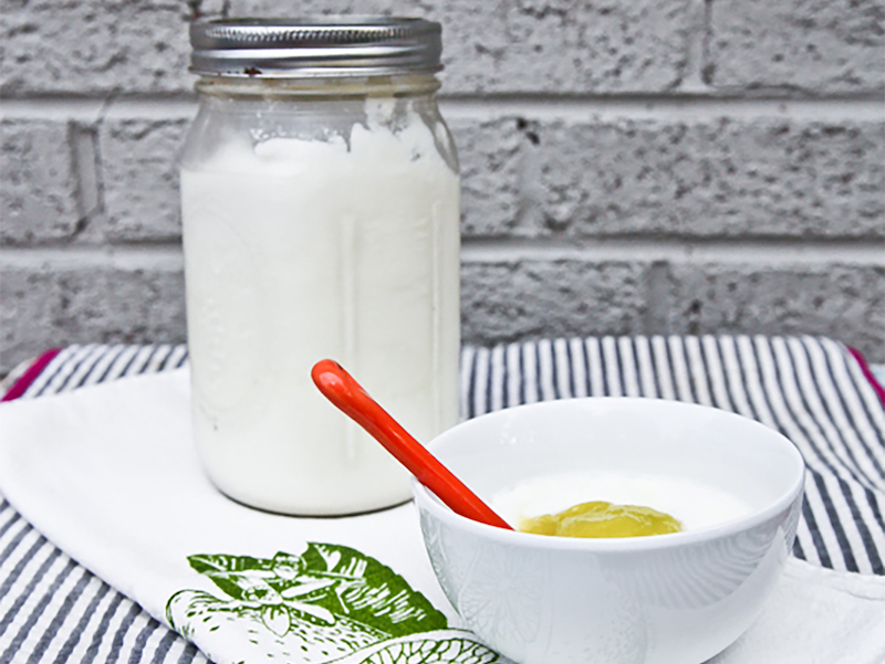 Homemade Yogurt